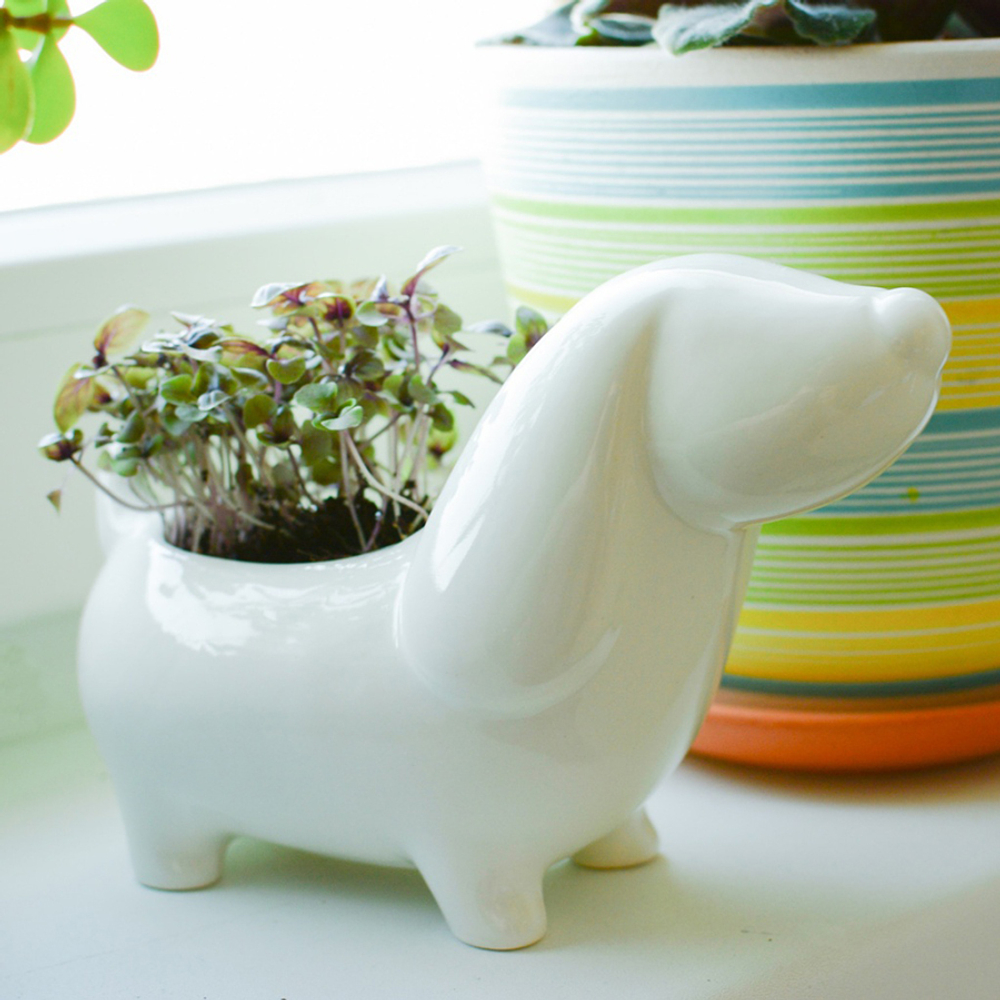 Набор для выращивания eco Собачка