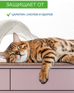 Краска акриловая для мебели и декора EasyDekor (Изи Декор) FARBITEX PROFI