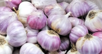 Чеснок Покровский. Цена за головку