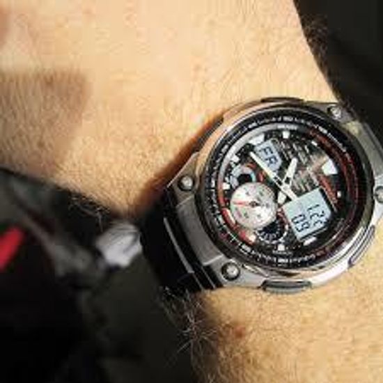 Наручные часы Casio AQ-190W-1AVDF