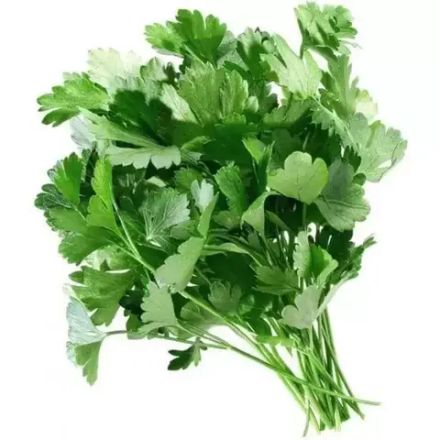 Кинза (Кориандр)