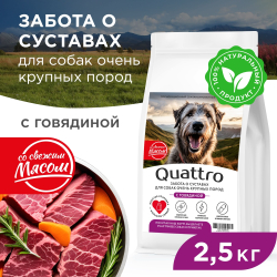 Корм сухой для взрослых собак очень крупных пород, премиум полнорационный комплекс, забота о суставах, с говядиной, 2,5 кг, QUATTRO