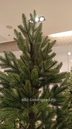 Ель искусственная «НОРДМАН» (Литая хвоя) от 1.2 до 2.4 м