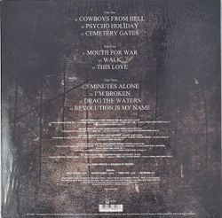 Pantera. 1990-2000. Decade Of Domination. Limited Black Ice Transparent (2 LP)