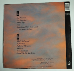 Винтажная виниловая пластинка LP Vaya Con Dios Night Owls (Spain 1990)