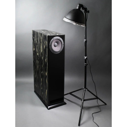 Полочная акустика Davis Acoustics MV One Master