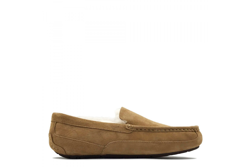 UGG Mens Ascot Chestnut