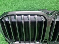 Решетка радиатора BMW X7 G07 (2019-2022)