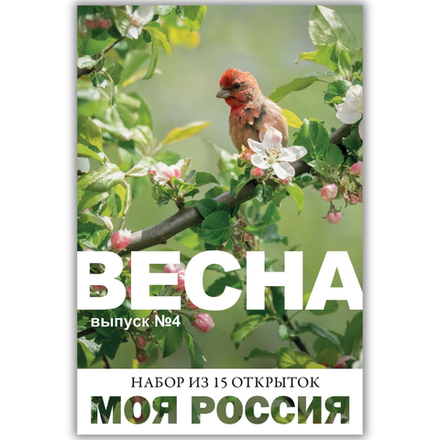 Моя Россия. Весна (выпуск №4, 2025)