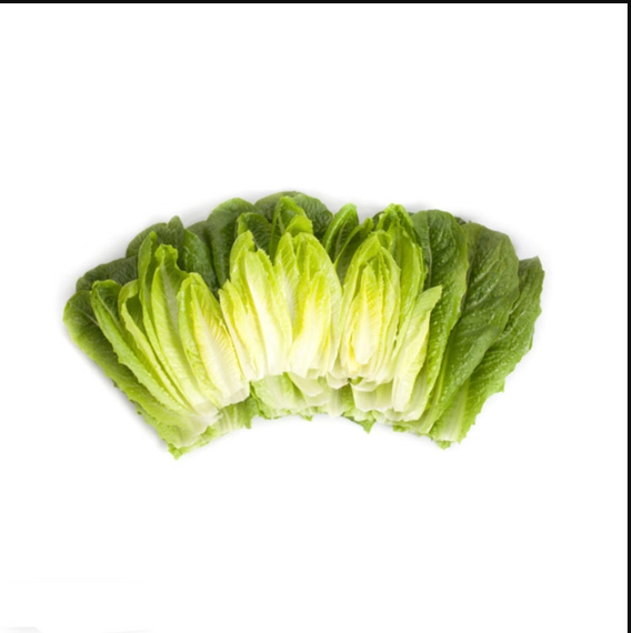 АУВОНА_семена_салата_ромэн_Rijk_Zwaan_салат – фото 2