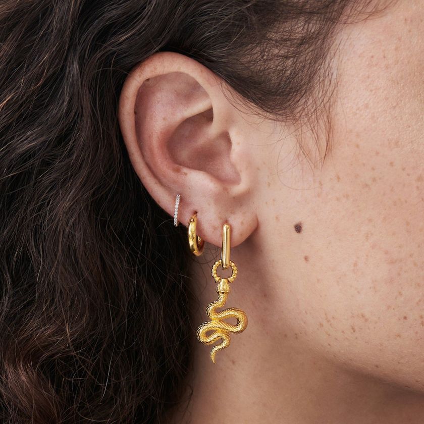 Серьги Одинокая Змея