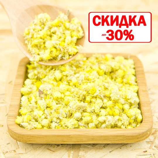 Бессмертник песчанный (цвет)