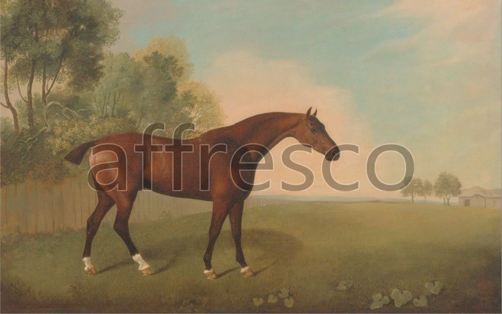 Фреска John Boultbee, A Bay Horse in a Field