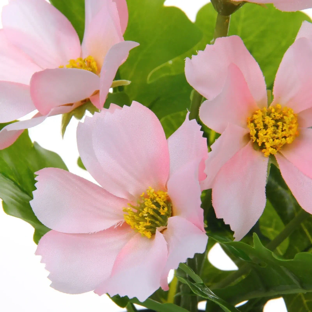 Цветочная композиция «Поцелуй лета» Космея розовая 20см