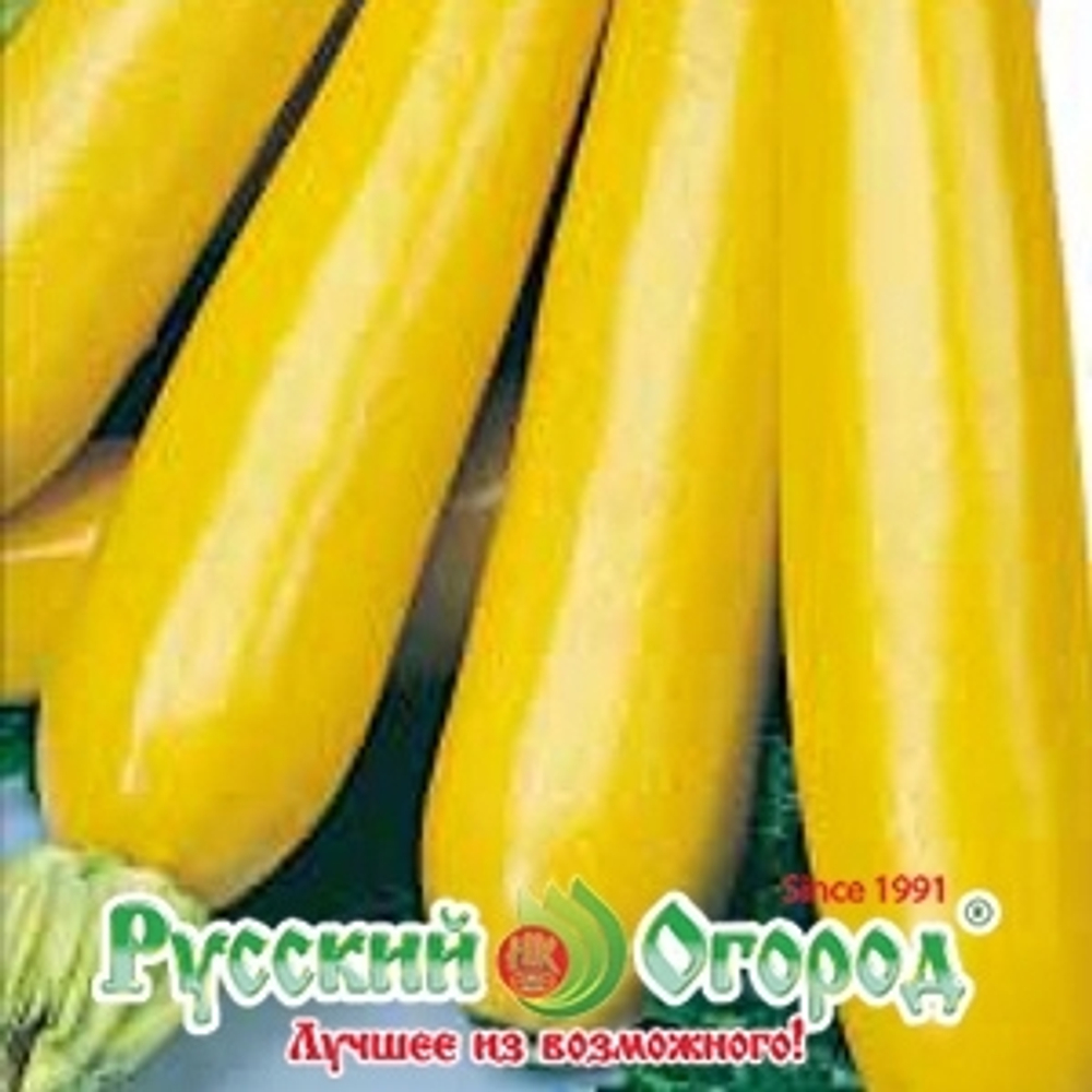 Кабачок Золотинка (НК) 2г