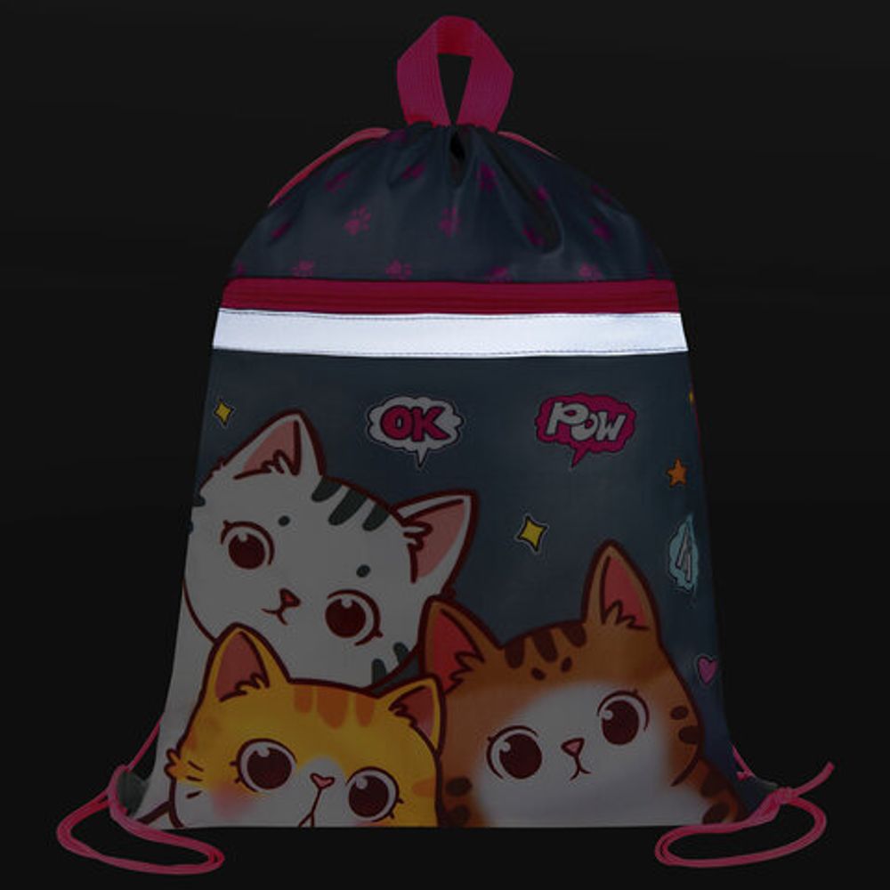 Мешок для обуви BRAUBERG, с петлей, светоотражающая полоса, 2 отделения, 46х36 см, "Hi there", 273449