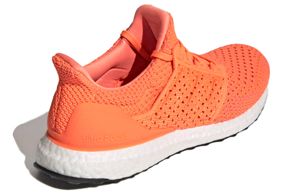 Кроссовки Adidas Ultraboost Clima Dna