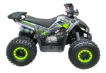 Квадроцикл Racer RAPTOR 125 (Зеленый)