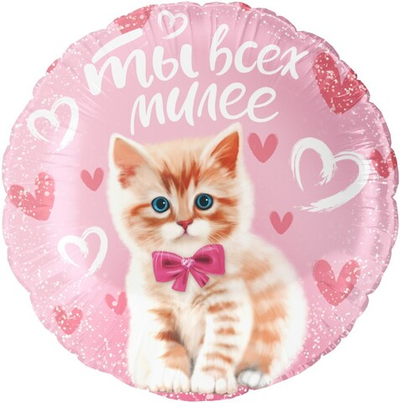 Фольгированный шар «Ты всех милее», 46 см