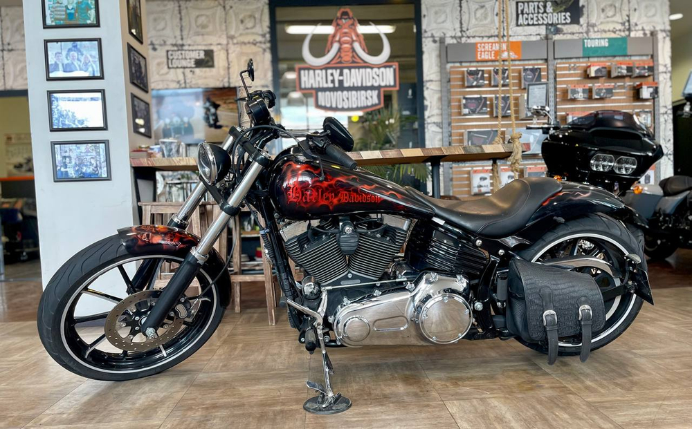 Harley-Davidson Softail Rocker C (FXCWC) 2008