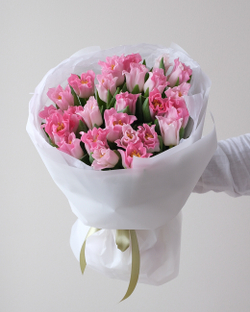 Моно из 25 пионовидных тюльпанов Краун ов Династи