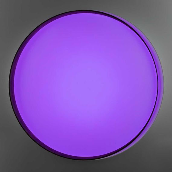 Потолочный светодиодный светильник Citilux Bonny CL754450G