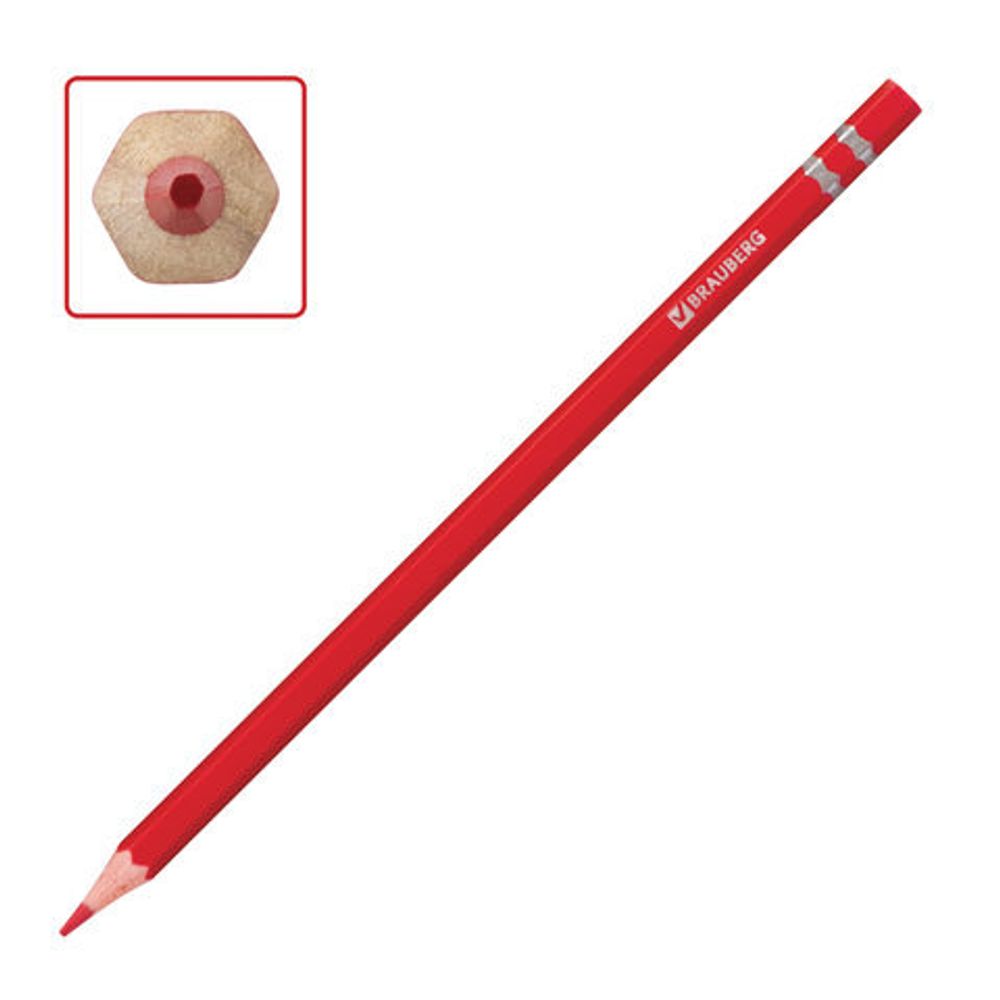 Карандаши цветные BRAUBERG "Корсары", 12 цветов, пластиковые, заточенные, картонная упаковка, 180578