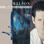 Brian Wilson / Brian Wilson (CD)