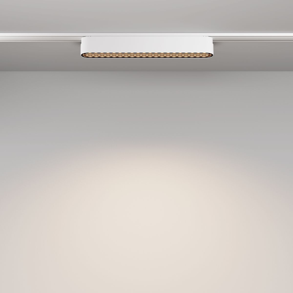 Трековый магнитный светильник Maytoni Basis Grid TR084-1-12W4K-W