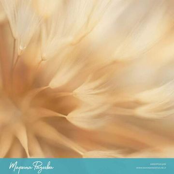 Меня достаточно!