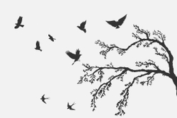 ARBRE 16