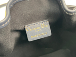 Christian Dior Small C'est Dior Bag