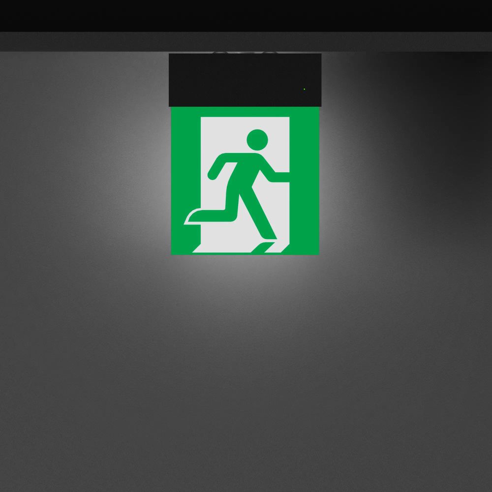 Световой указатель EMG-MARK-S-3H-BK (Arlight, IP40 Металл, 5 лет) 059801