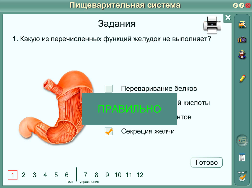 Интерактивные плакаты "Биология человека"