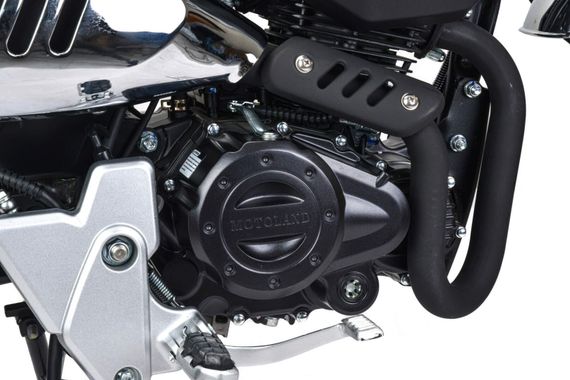 Мотоцикл MOTOLAND Monkey 150 PITBIKE