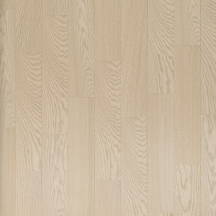 Cotton Triba