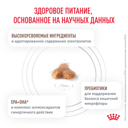 Сухой корм Royal Canin GASTROINTESTINAL FIBRE RESPONSE (ГАСТРОИНТЕСТИНАЛ ФАЙБР РЕСПОНС) диетический для кошек при запорах - 0,35 кг
