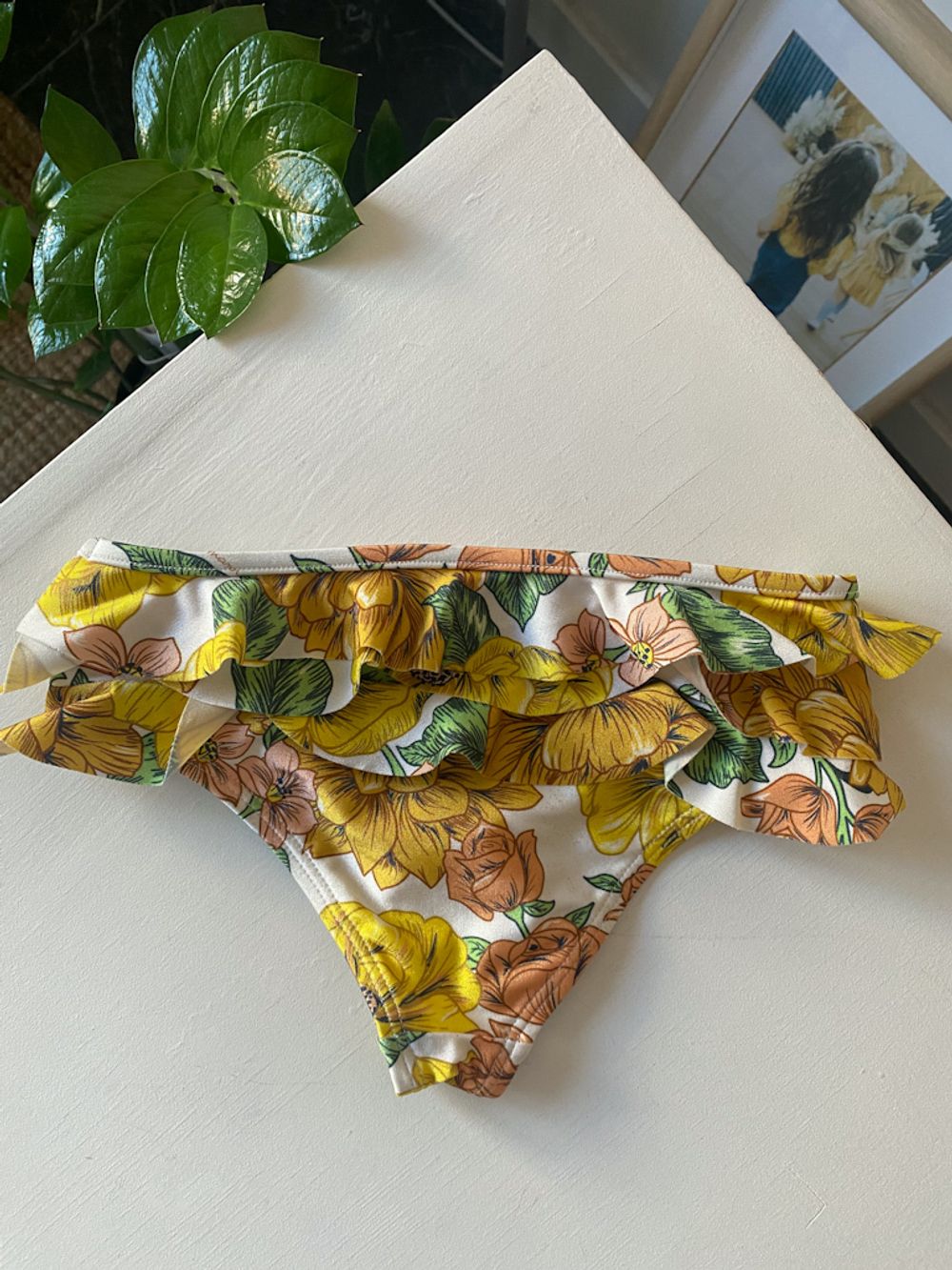 Плавки бикини Zimmermann, 104