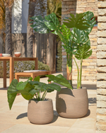 Искусственное растение Alocasia пахучая с черным горшком 57 см