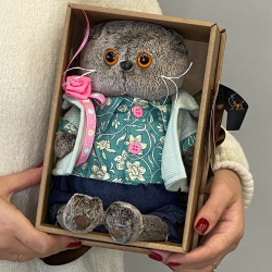 Кот Басик