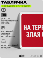 Табличка "На территории злая собака" на дверь и забор, для двора, дома, подъезда, 40х30 см, Silver Plane x Айдентика Технолоджи