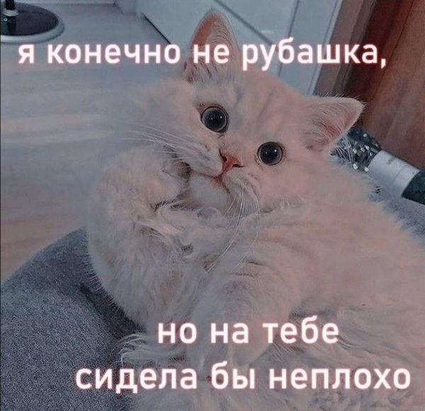 Сегодня не просто день. Сегодня — День Секса. 😋