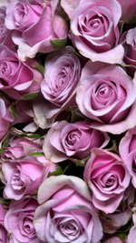 В такой букетик добавить 4 веточки кустовых роз