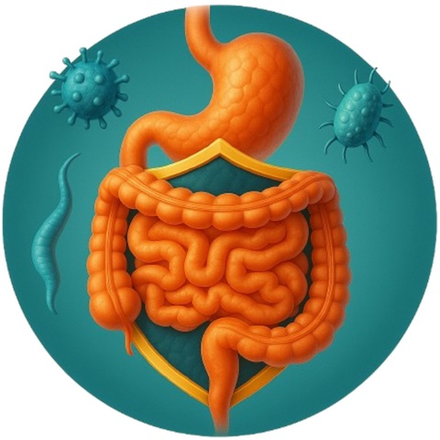 ДЕТОКС и ОЧИЩЕНИЕ