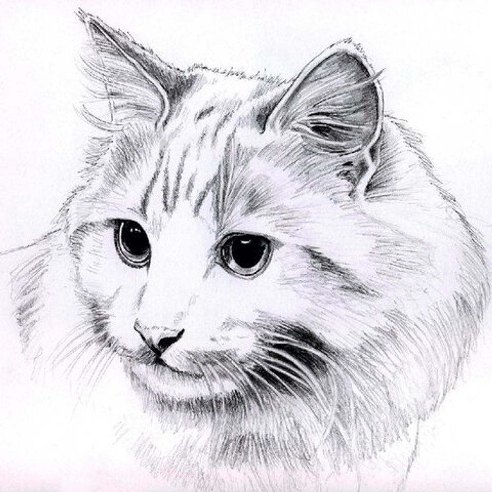 Альбом для рисования, ватман ГОЗНАК 200г/м 200х198мм, 60л, склейка, BRAUBERG ART CLASSIC, 105909