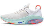 Кроссовки Nike Joyride Run 1 Fk (Женская размерная сетка)