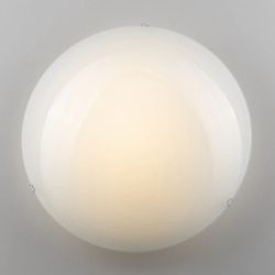 Citilux CL918000 Светильник светодиодный Белый