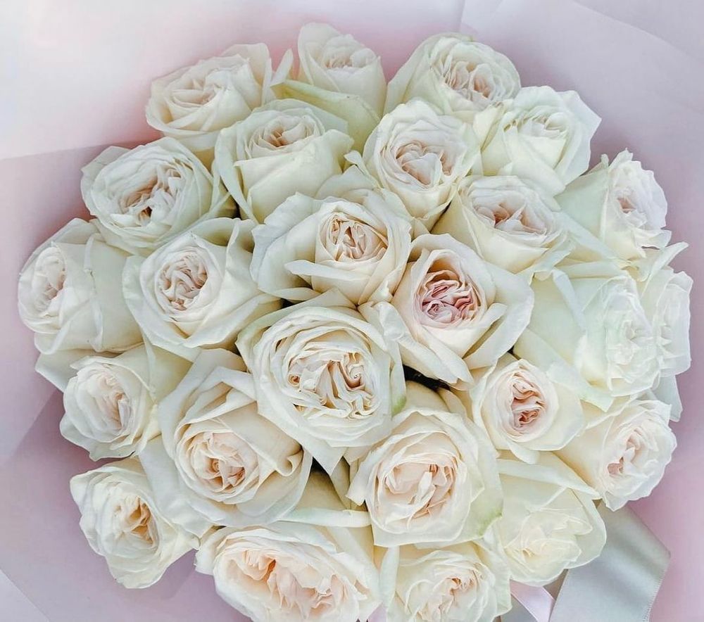 Роза пионовидная (Premium)