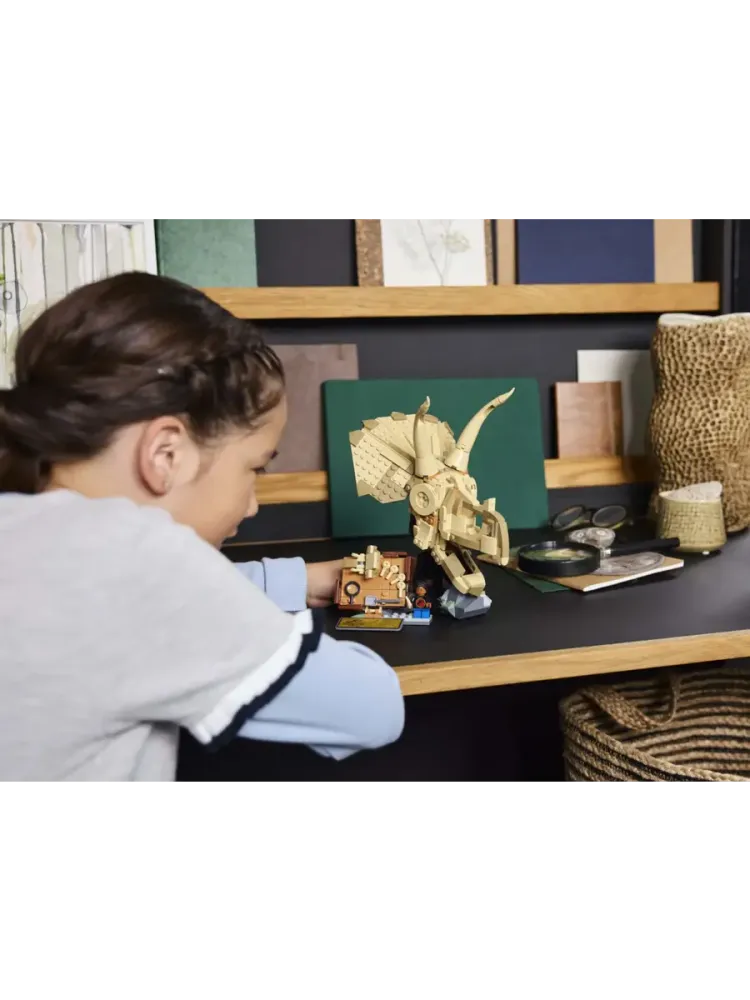 Конструктор Jurassic World 76969 Череп трицератопса