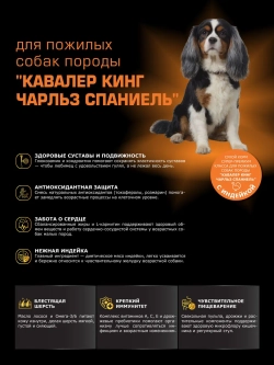 Корм для Кавалер кинг Чарльз спаниель 7+ индейка, 3 кг